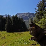 Wie ein Geist wacht dieses "Steingesicht" kurz vor dem Schödersee