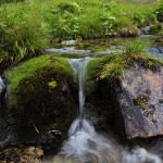 Stille Wasser