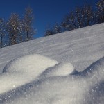 Herrlich glitzert der Schnee nach kalter Nacht.