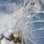 "Eiskristalle" - geerothe@online.de