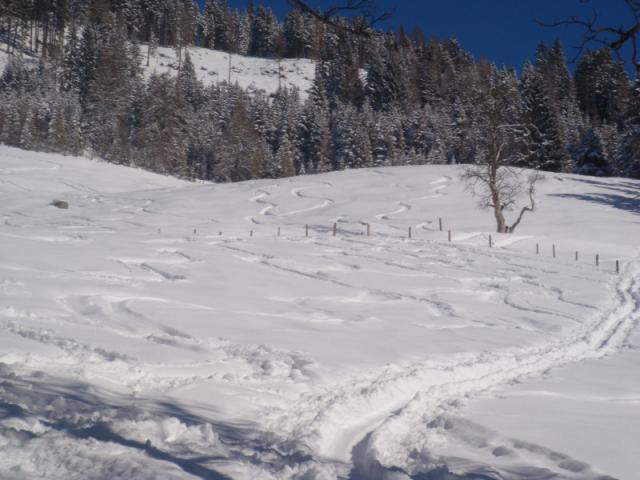 skitour21.02.2010-klein-2