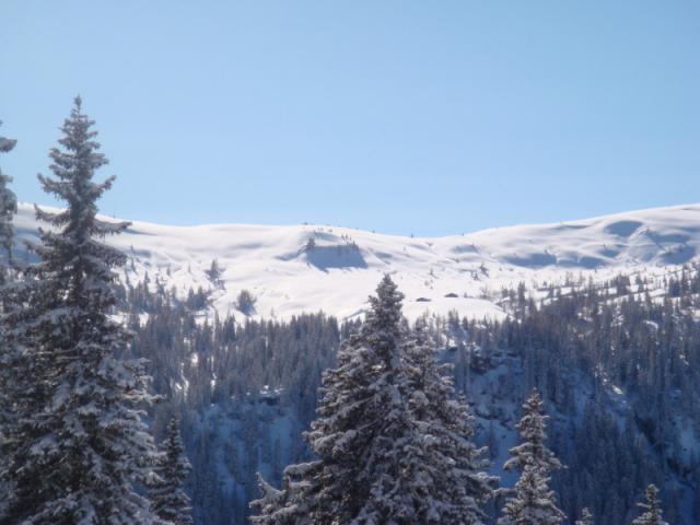 skitour21.02.2010-klein5