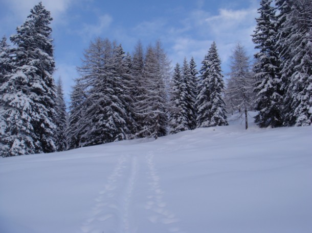 Aufstiegsspur auf den Loosbühel